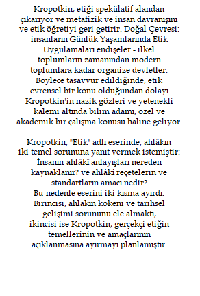 Metin Kutusu 2, Metin kutusu